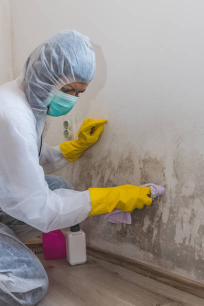 Best Indoor Air Quality Assessment  in Crown Pot, IN