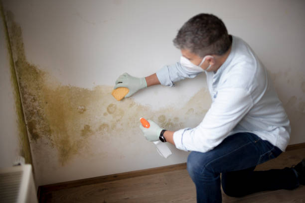 Best HVAC Mold Inspection and Cleaning  in Crown Pot, IN