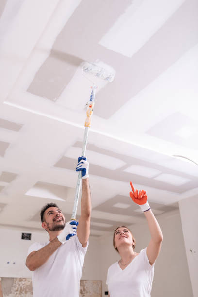 Best Basement Mold Removal  in Crown Pot, IN