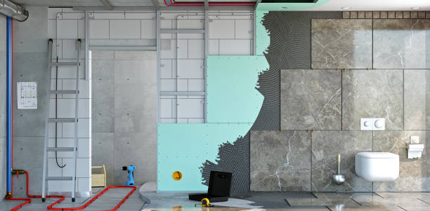 Professional Mold Removal in Crown Point, IN