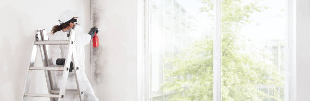 Best Mold Removal for HVAC Installations  in Crown Pot, IN