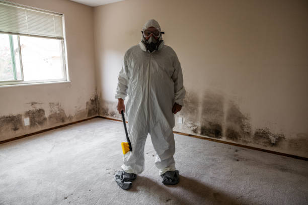 Best Commercial Mold Inspection  in Crown Pot, IN